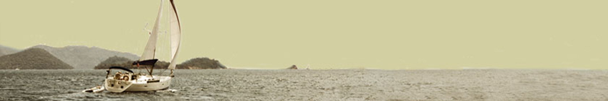 Vlasblom boot
