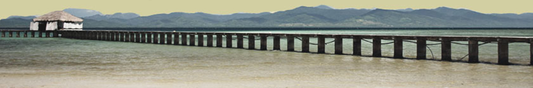 Vlasblom brug